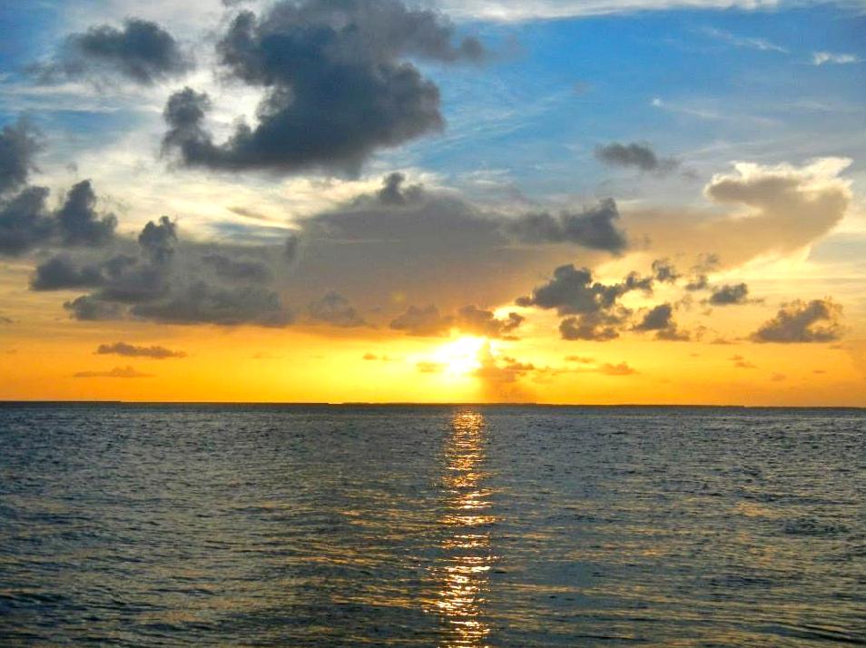 Experience a Sunset Cruise over the Reef