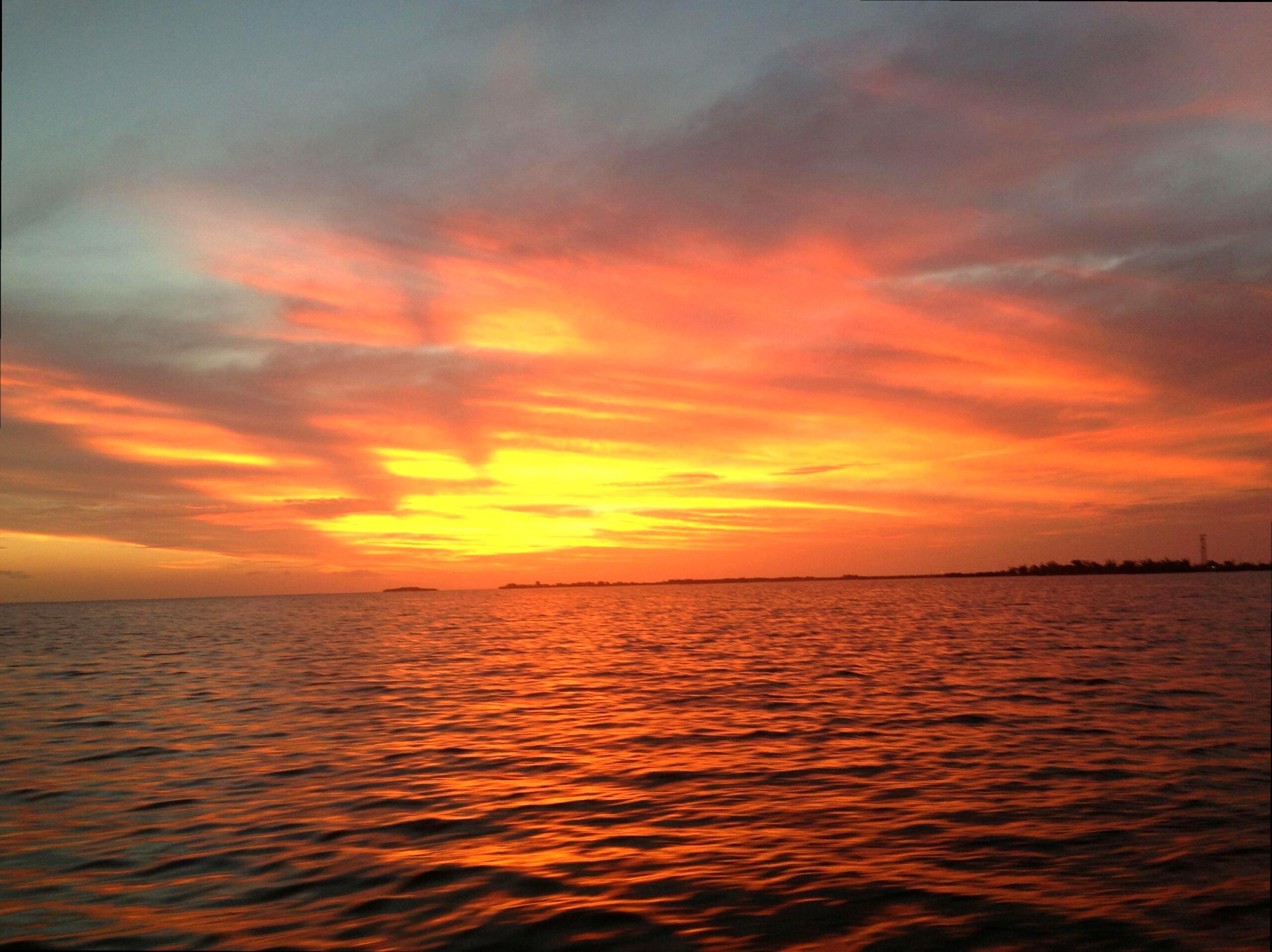 Discover the Reef During a Sunset Sailing Trip