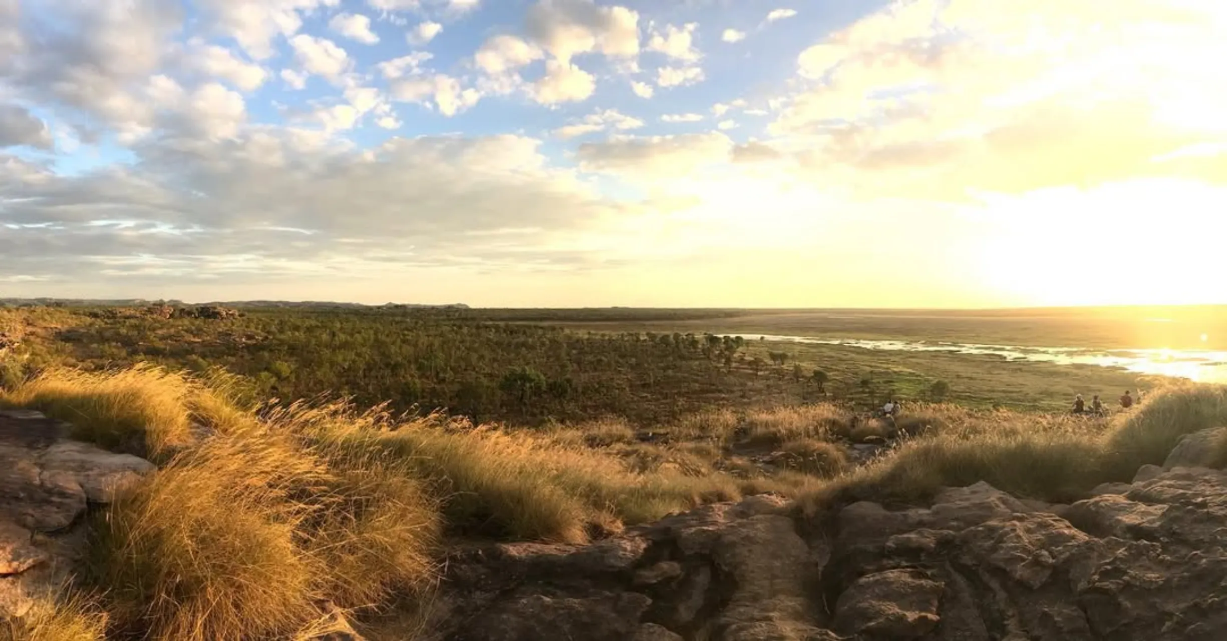 freshwater floodplains