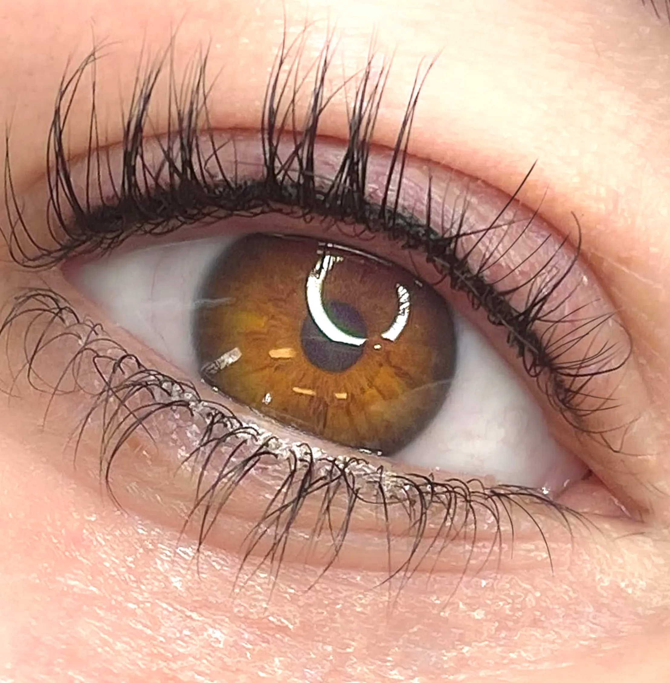 lash shedding after tattoo