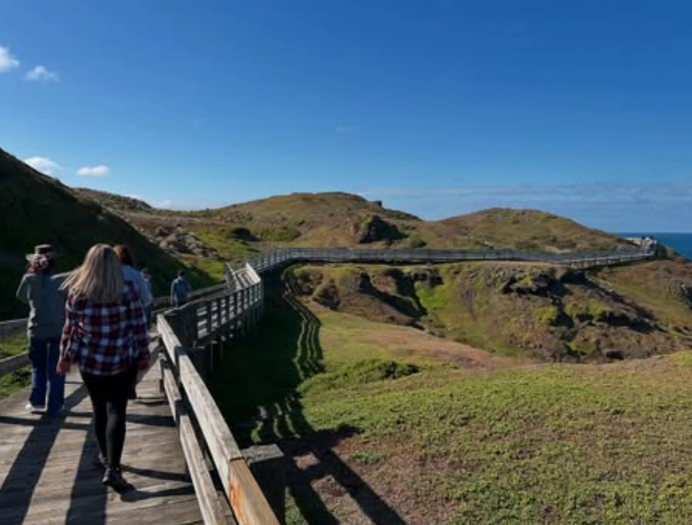 Phillip Island wildlife tours
