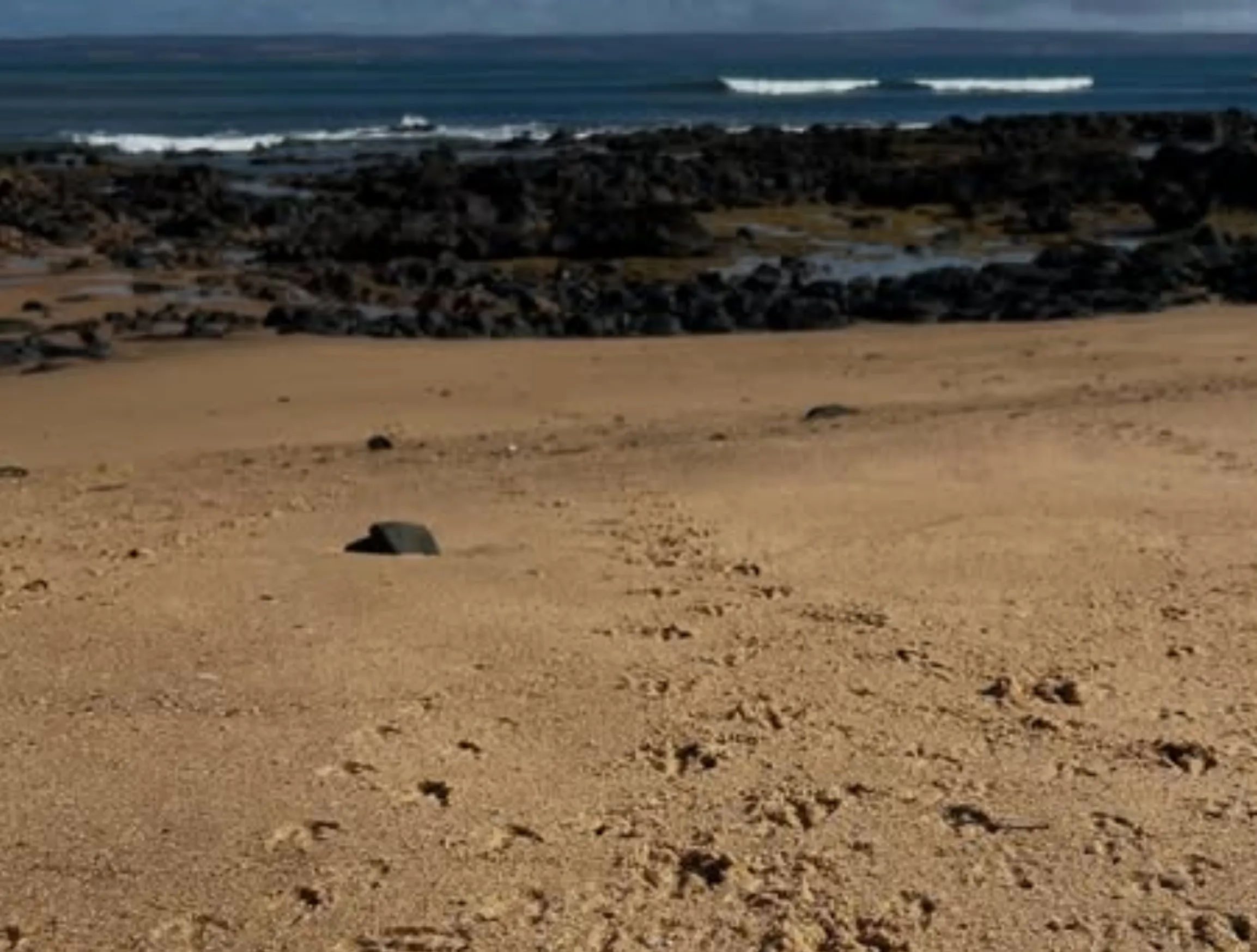 What ocean is Phillip Island on?
