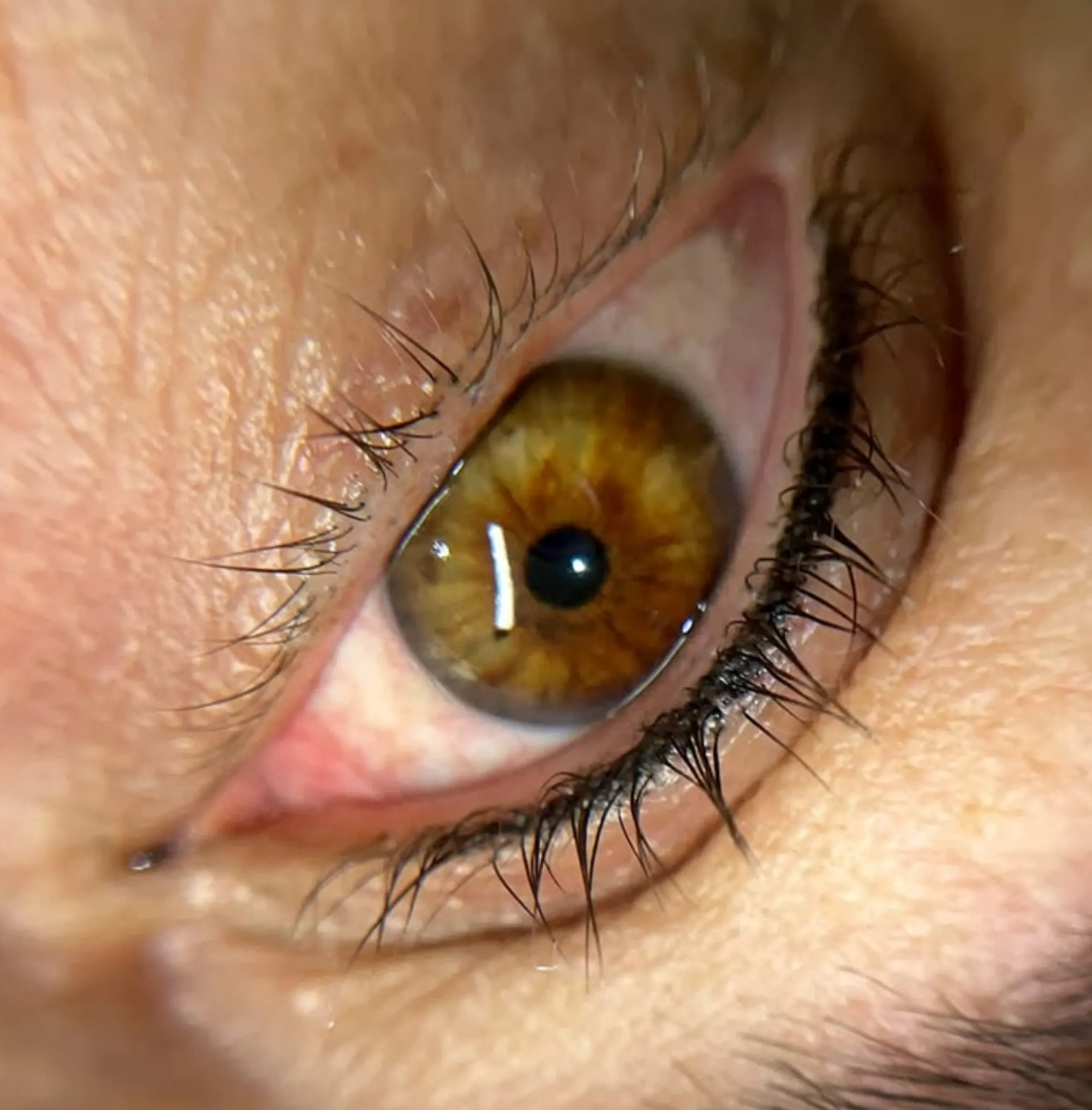 How Many Times Can You Get Microblading Done?